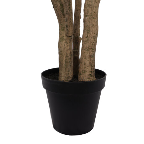 AVH-Collectie Kunst olijfboom robuust H250 cm