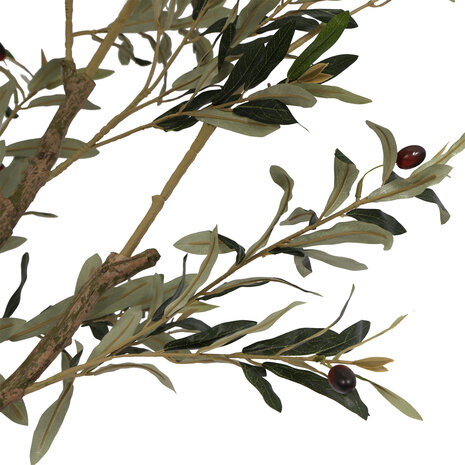 AVH-Collectie Kunst olijfboom robuust H250 cm