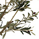 AVH-Collectie Kunst olijfboom robuust H250 cm