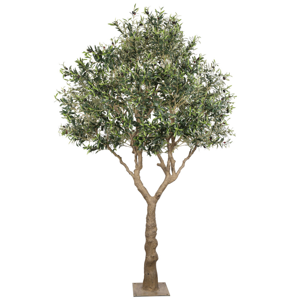 AVH-Collectie Kunst olijfboom XL robuuste stam 300 cm hoog