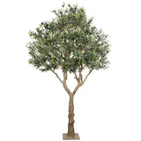 AVH-Collectie Kunst olijfboom XL robuuste stam 300 cm hoog