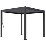 AVH-Collectie Venus Comfort overkapping - 300x300 cm - antraciet