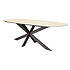Derby dining tafel 240x100x77 cm terre