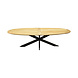 AVH-Collectie Showroommodel Mulia dining tuintafel 280x130xH76 cm ovaal AVH-Collectie Showroommodel Mulia dining tuintafel 280x130xH76 cm ovaal