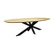 AVH-Collectie Showroommodel Mulia dining tuintafel 280x130xH76 cm ovaal AVH-Collectie Showroommodel Mulia dining tuintafel 280x130xH76 cm ovaal