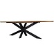 AVH-Collectie Showroommodel Mulia dining tuintafel 280x130xH76 cm ovaal AVH-Collectie Showroommodel Mulia dining tuintafel 280x130xH76 cm ovaal
