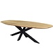 AVH-Collectie Showroommodel Mulia dining tuintafel 280x130xH76 cm ovaal AVH-Collectie Showroommodel Mulia dining tuintafel 280x130xH76 cm ovaal