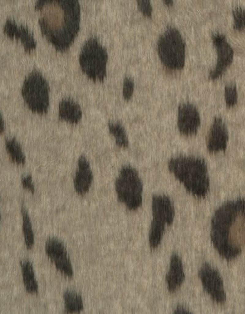 Fritzi leopard