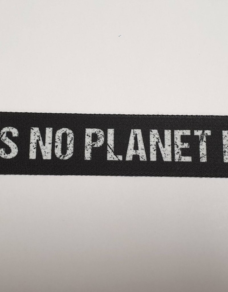 There is no planet B