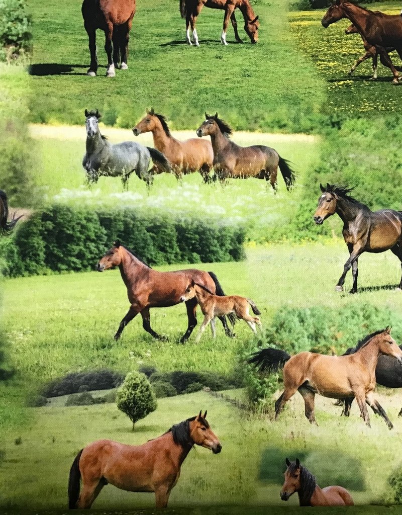 Tiffy Horses