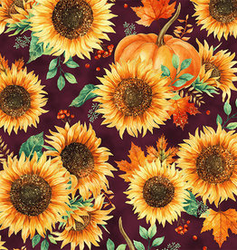 Pumpkins and sunflower