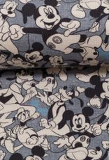 Disney Disney Mickey en Pluto