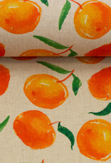 Canvas appelsienen