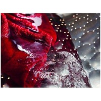 WEH 875 WPS  NU HX1 HARDFLOOR CADEAU OF €150,- CASHBACK