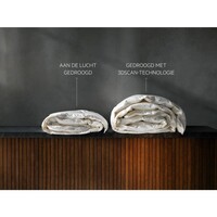 TR97BADEN NU € 100,- CASHBACK EN 5 JAAR GARANTIE