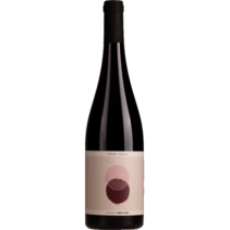 Sophie Schaal Pinot Noir