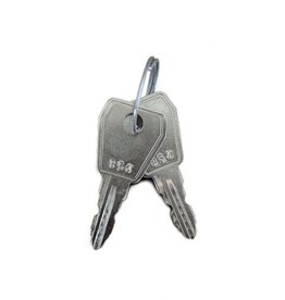 Sleutel (anti-diefstal)