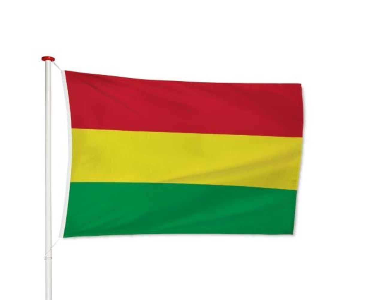 Boliviaanse Vlag