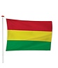 Boliviaanse Vlag Boliviaanse Vlag