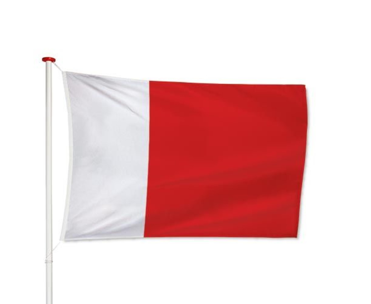 Dubaise Vlag