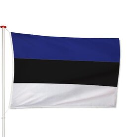 Vlag Estland