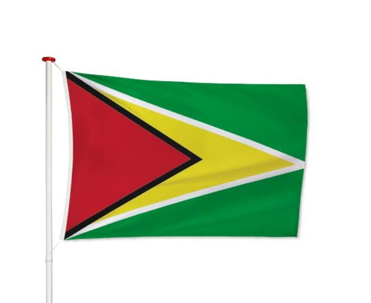Guyanese Vlag