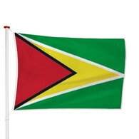 Vlag Guyana