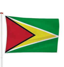 Vlag Guyana
