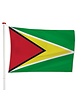 Guyanese Vlag Guyanese Vlag