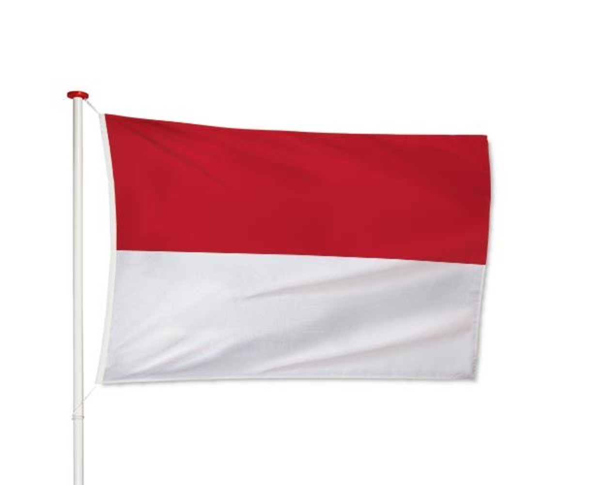 Indonesische Vlag