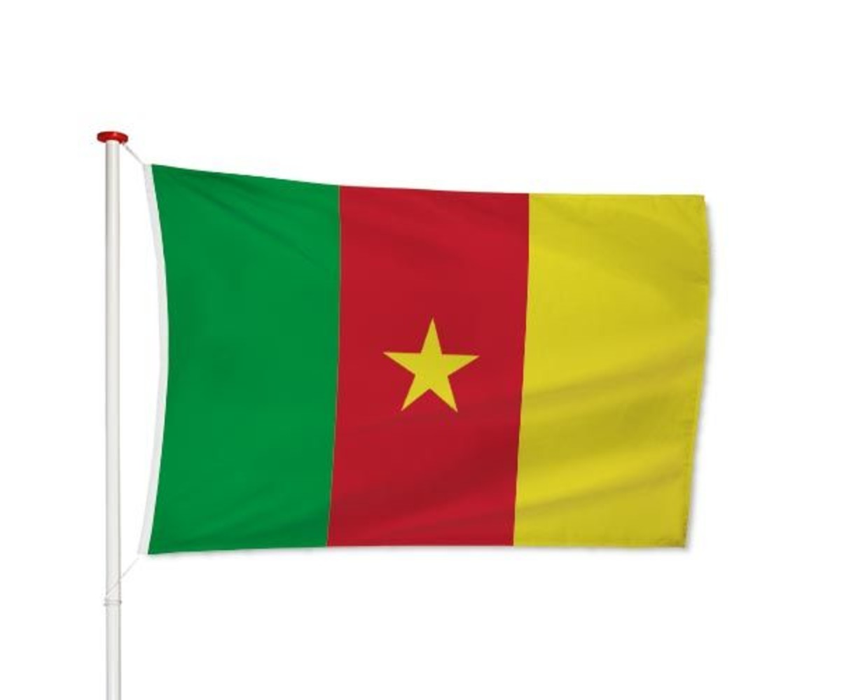 Kameroense Vlag
