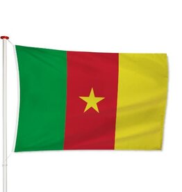 Vlag Kameroen