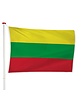 Litouwse Vlag