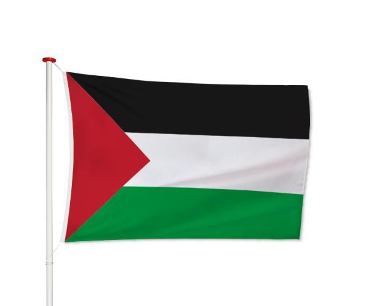 Palestijnse Vlag