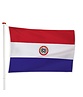 Paraguayaanse Vlag Paraguayaanse Vlag