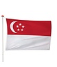 Singaporese Vlag Singaporese Vlag
