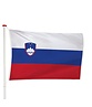 Sloveense Vlag
