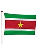 Surinaamse Vlag Surinaamse Vlag