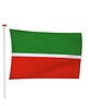 Tatarstaanse Vlag