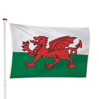 Vlag Wales