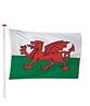 Welshe Vlag