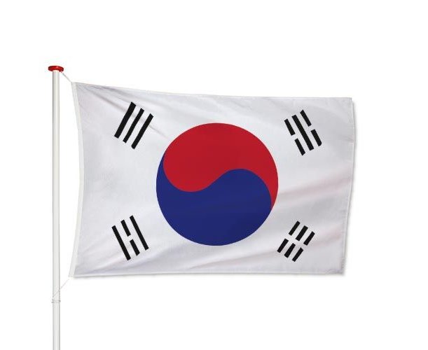 Vlag Van Zuid-Korea Met De Horizon Van Seoel Vector Illustratie