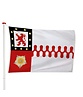 Vlag Berg en Dal
