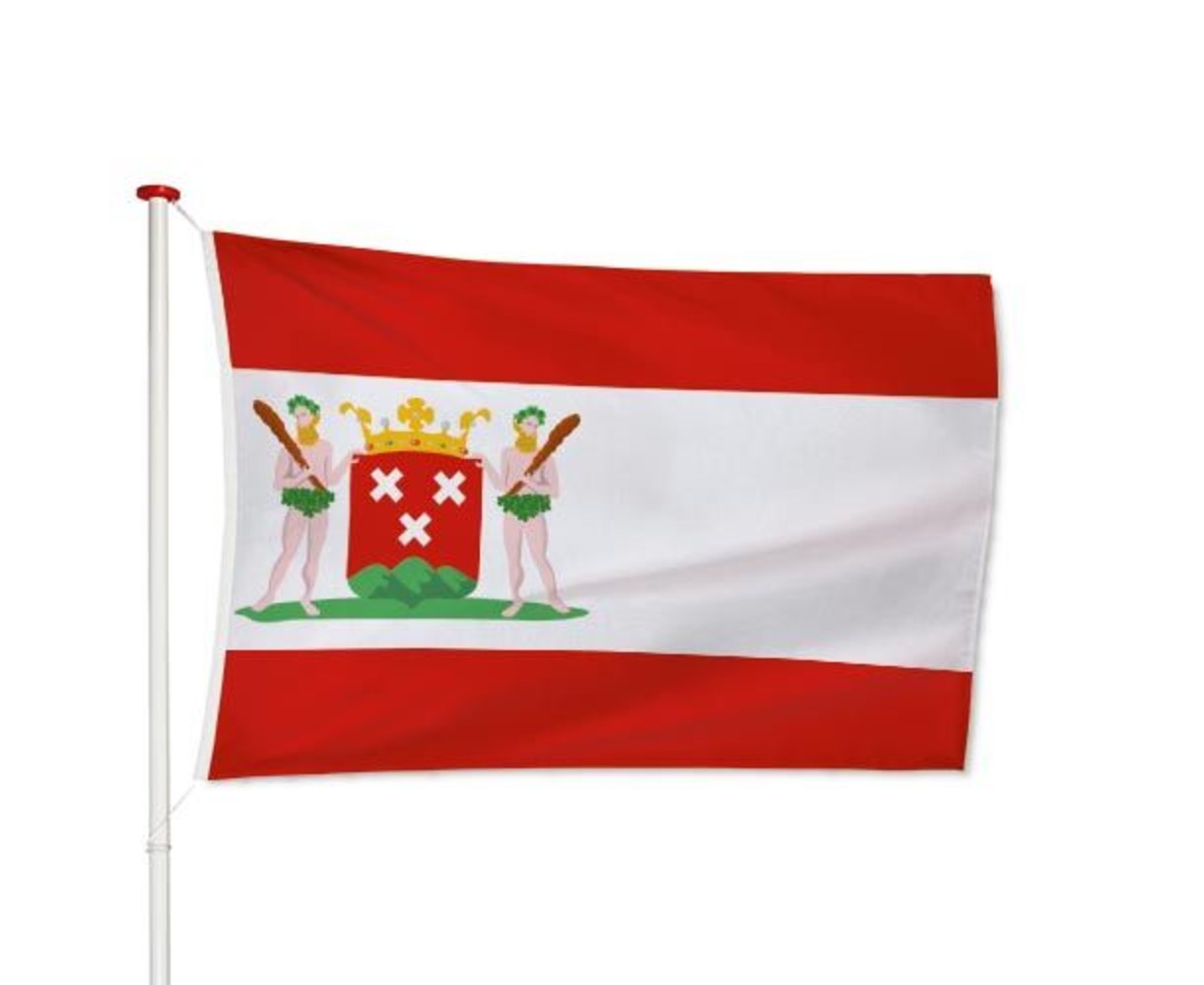 Vlag Bergen op Zoom