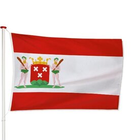 Vlag Bergen op Zoom