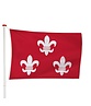 Vlag Beverwijk