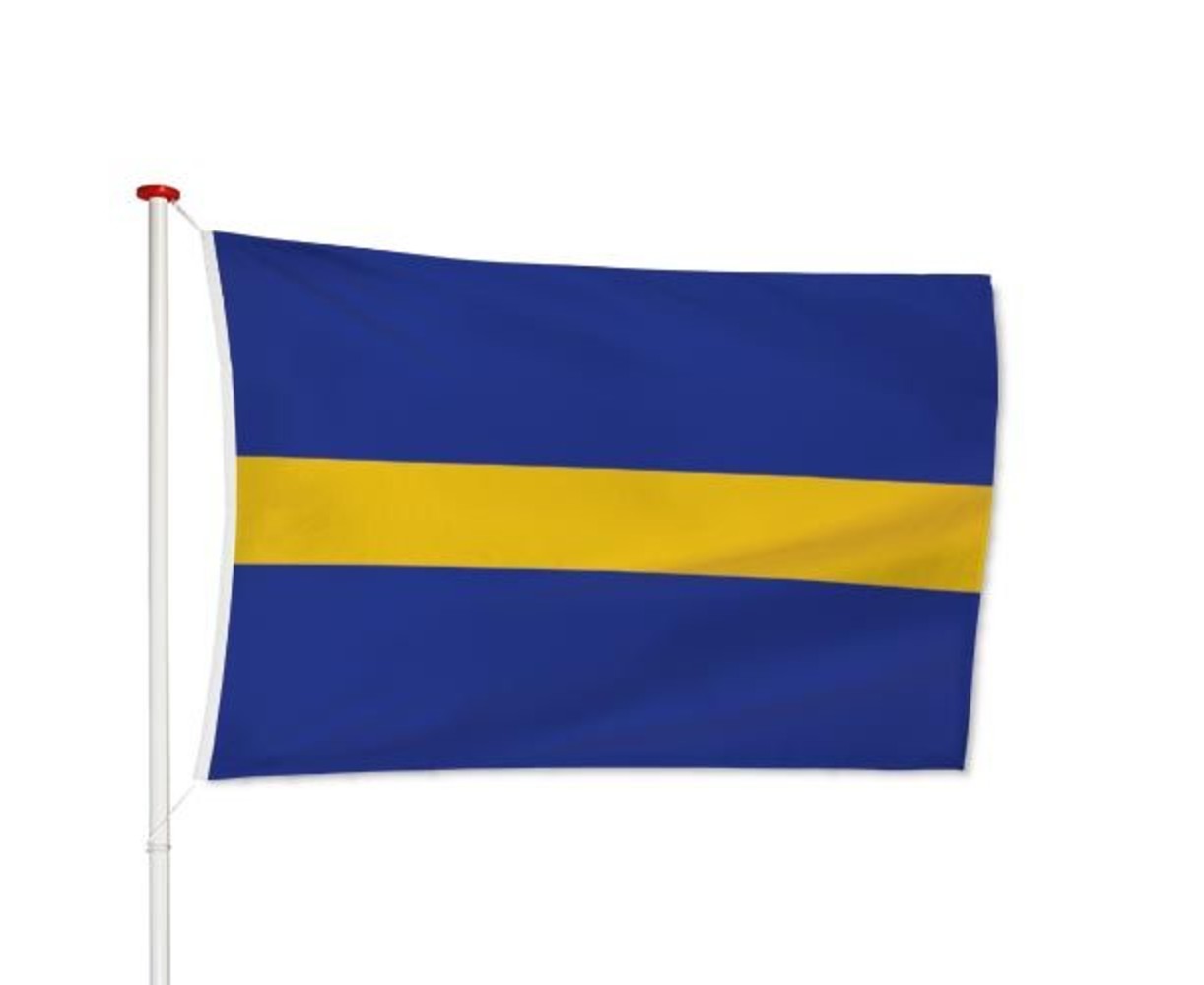 Vlag Borne