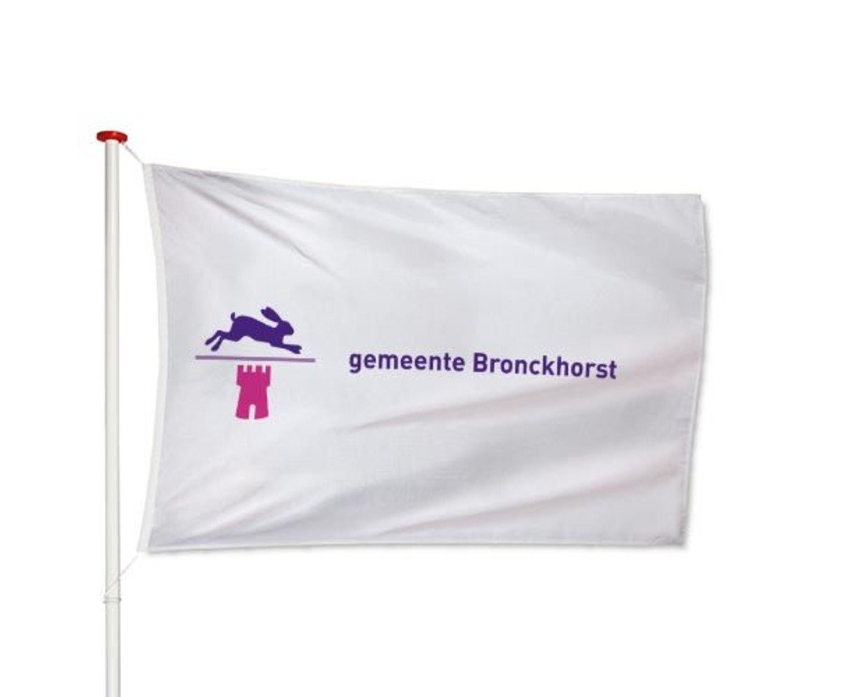 Vlag Bronckhorst