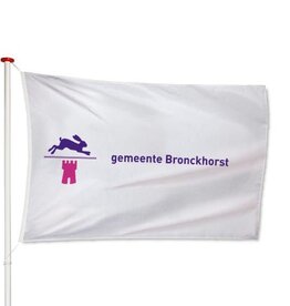 Vlag Bronckhorst