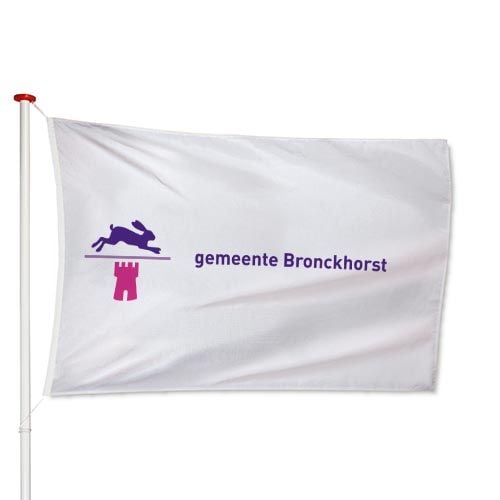 Vlag Bronckhorst